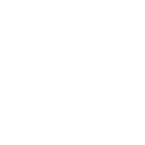 professional